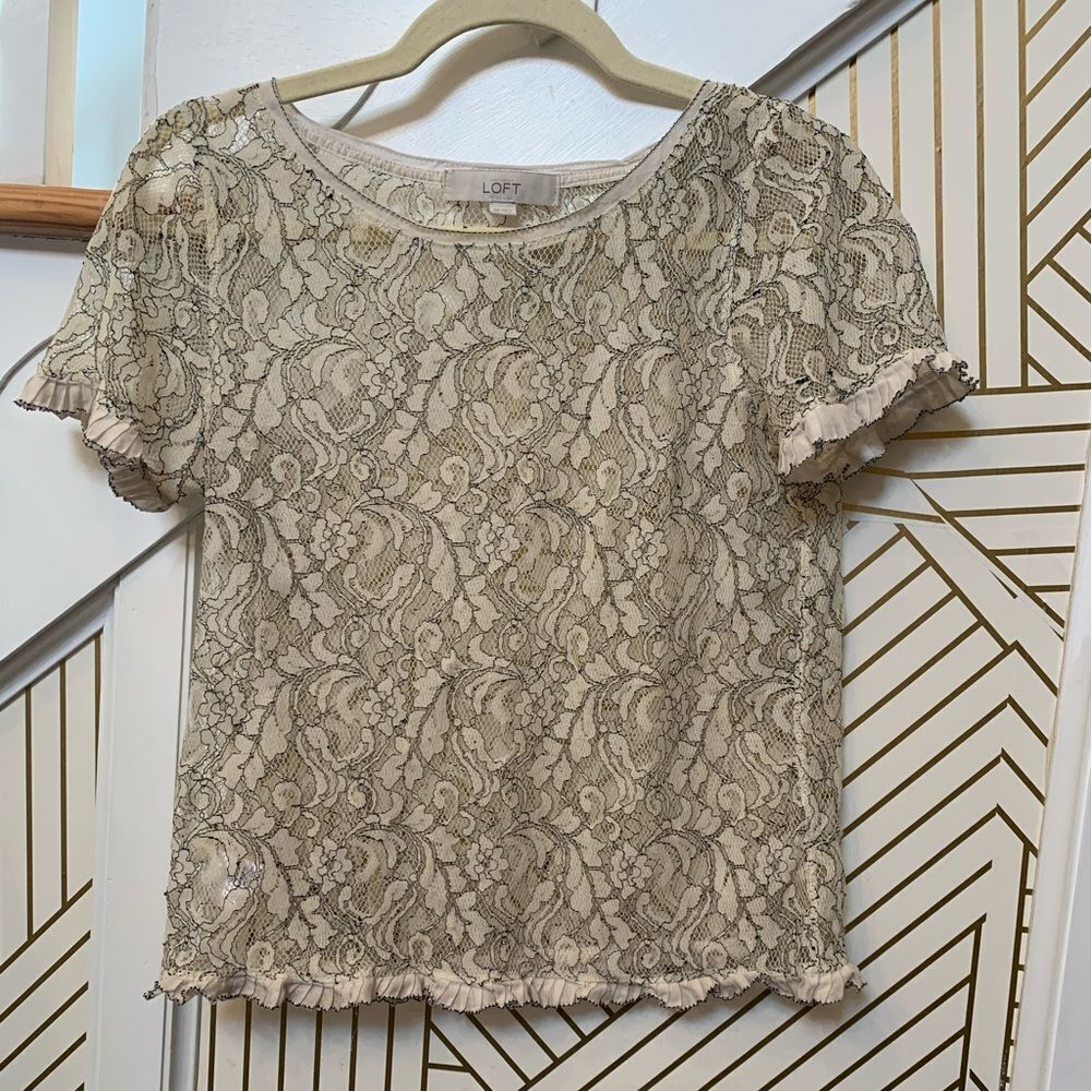Loft Cream Lace Sheer Short Sleeve Top